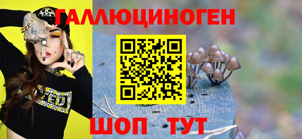 Белово  Галлюциногенные грибы Cubensis  Вход с VPN  Псилоцибиновые грибы Psilocybe 